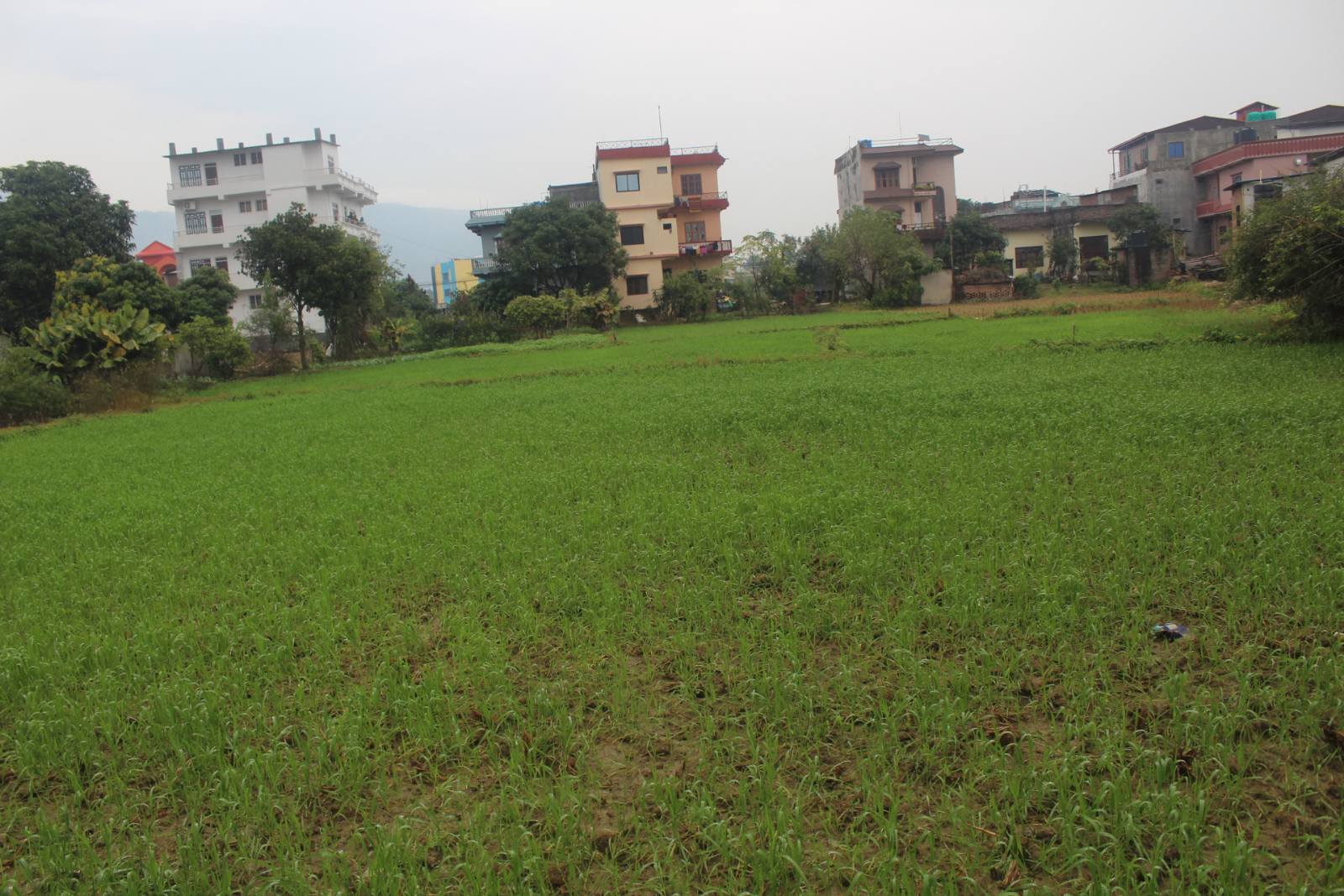 LAND FOR SALE