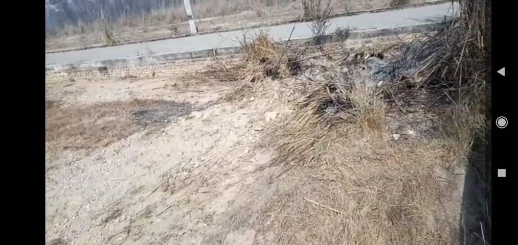 LAND ON A SALE AT GORKATTA NEAR GORKATTA CHOWK.