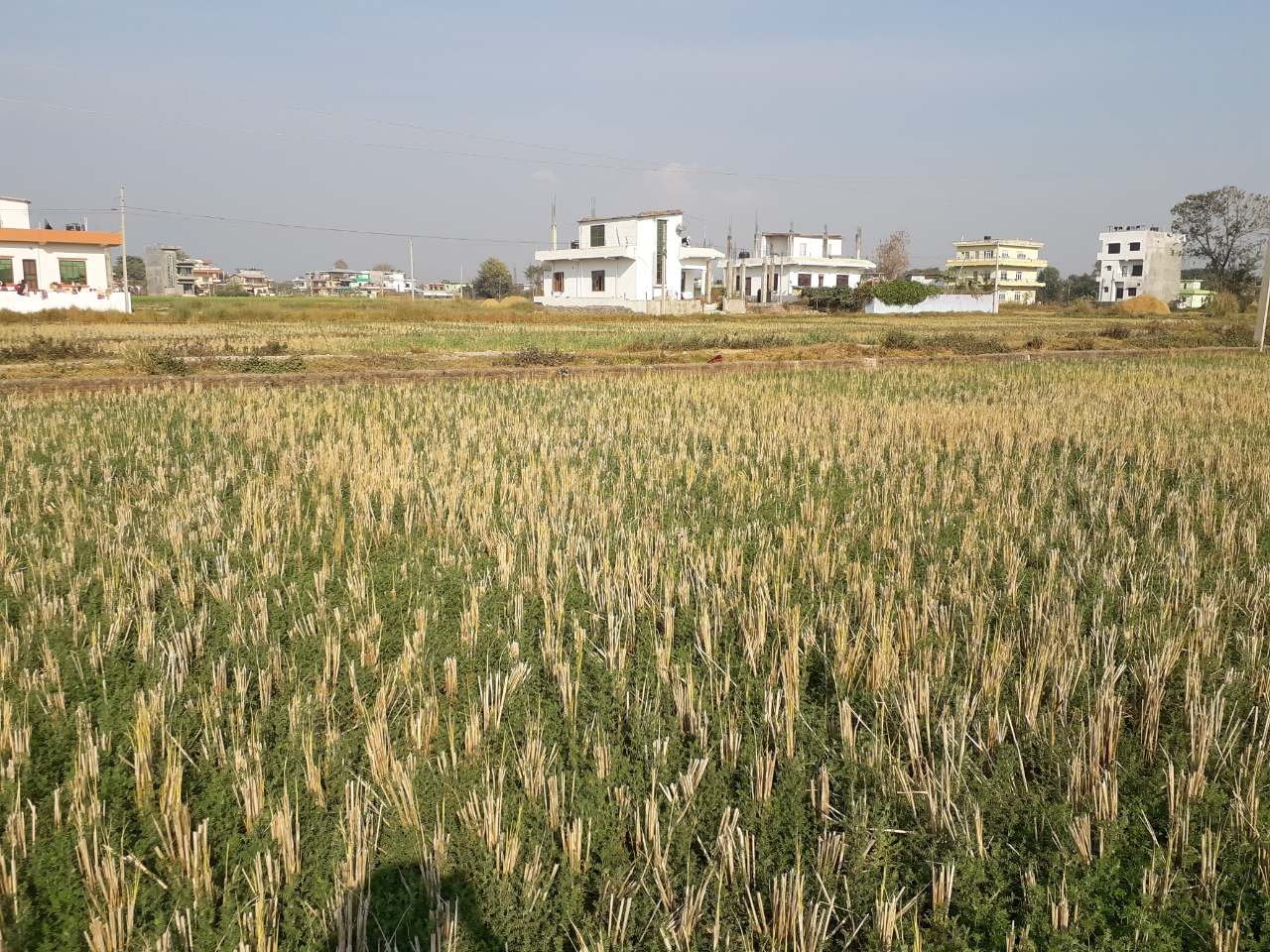 LAND FOR SALE