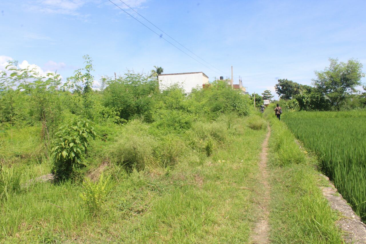 LAND FOR SALE