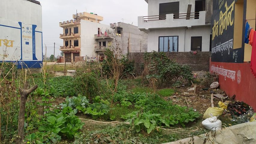 LAND FOR SALE AT TILOTTAMA, DINGANAGAR, RUPANDEHI