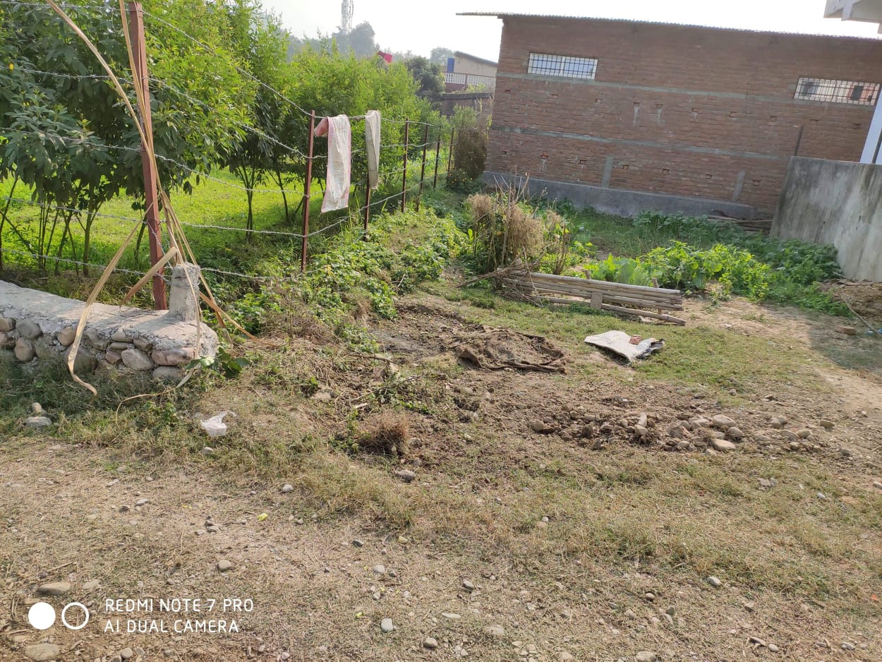 LAND FOR SALE AT TILOTTAMA RUPANDEHI