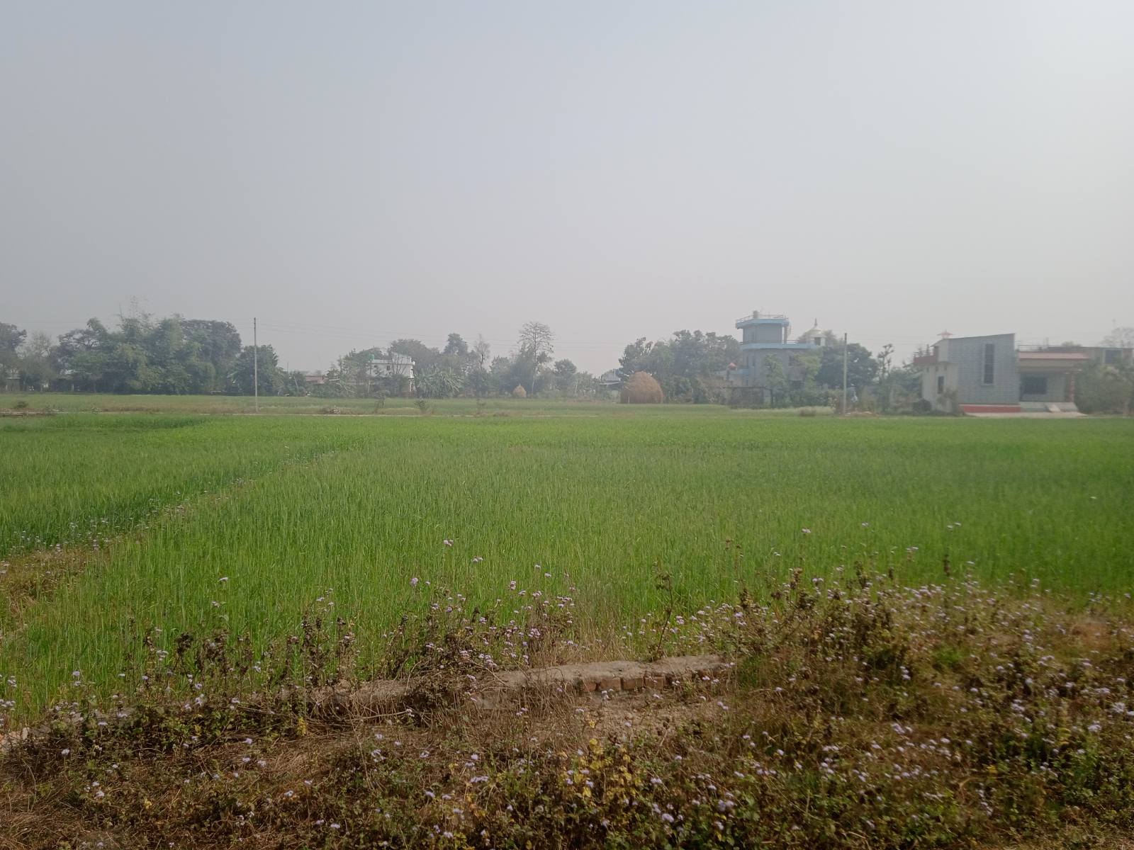 LAND ON SALE AT MAKAHAR TILOTTAMA.