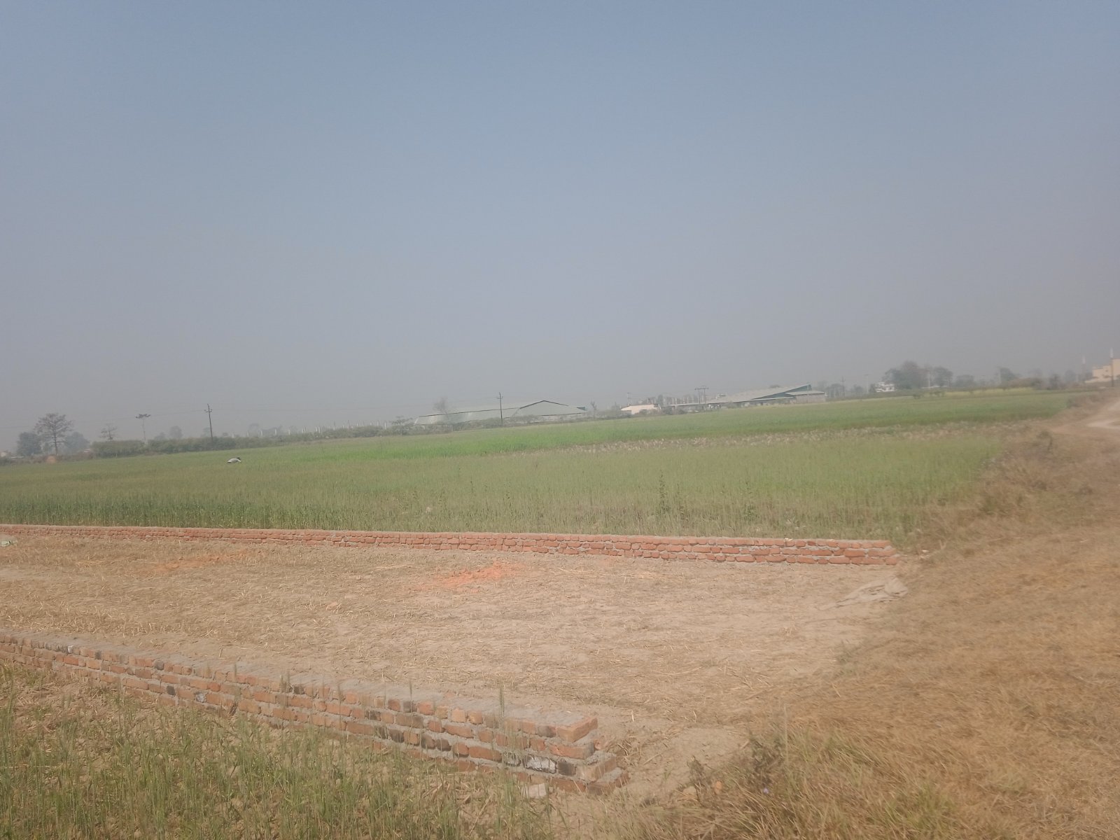 LAND ON A SALE AT TILOTAMA PAUNI.
