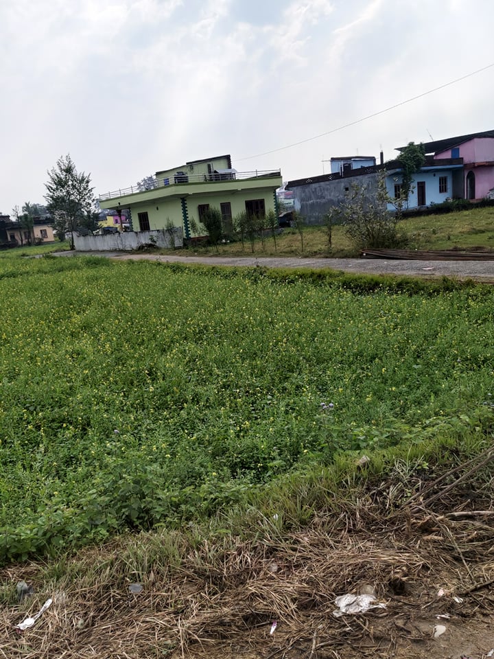 LAND FOR SALE AT SUNWAL